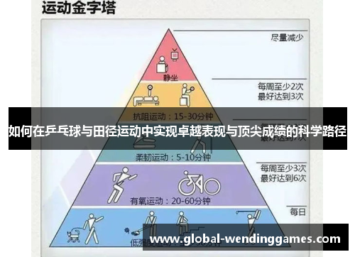 如何在乒乓球与田径运动中实现卓越表现与顶尖成绩的科学路径