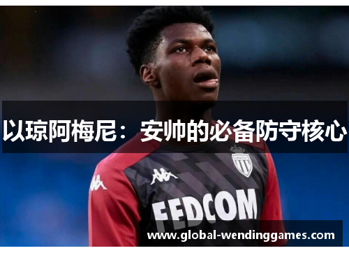 以琼阿梅尼：安帅的必备防守核心