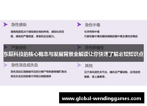东超科技的核心概念与发展背景全解读让你快速了解必知知识点