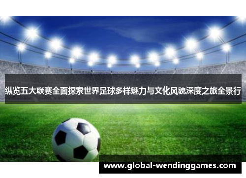 纵览五大联赛全面探索世界足球多样魅力与文化风貌深度之旅全景行