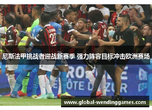 尼斯法甲挑战者迎战新赛季 强力阵容目标冲击欧洲赛场
